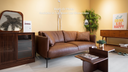 CODA brown leather sofa with modern design in a bright living room setting with wooden furniture and plants