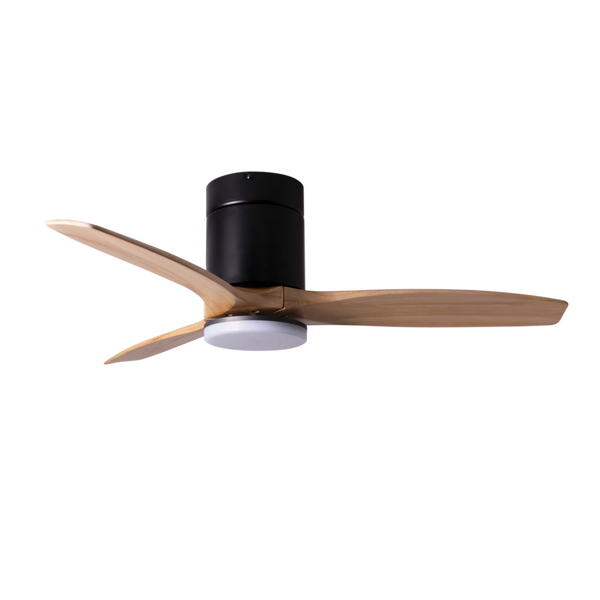 OAK SPIN ceiling fan Smart WiFi – Born in Colour