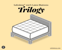 Trilogy Latex Mattress Sofzsleep