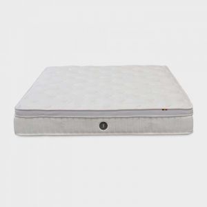 Sofzsleep Chiro 24cm - Premium Belgium Latex Mattress - Sofzsleep