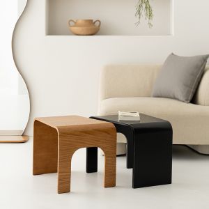 Organic Modern Coffee Table Set