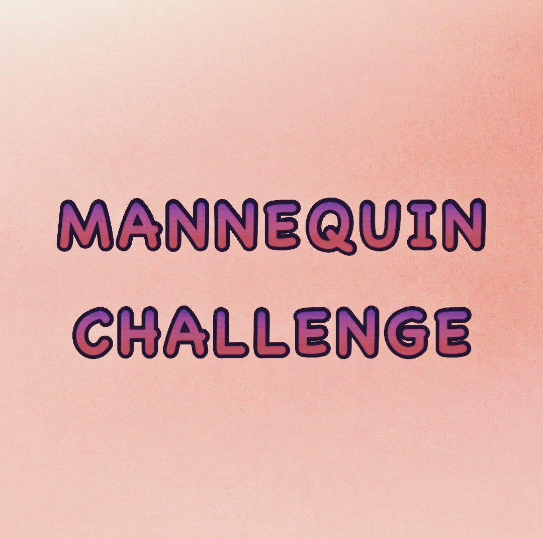 Mannequin Challenge November 2016