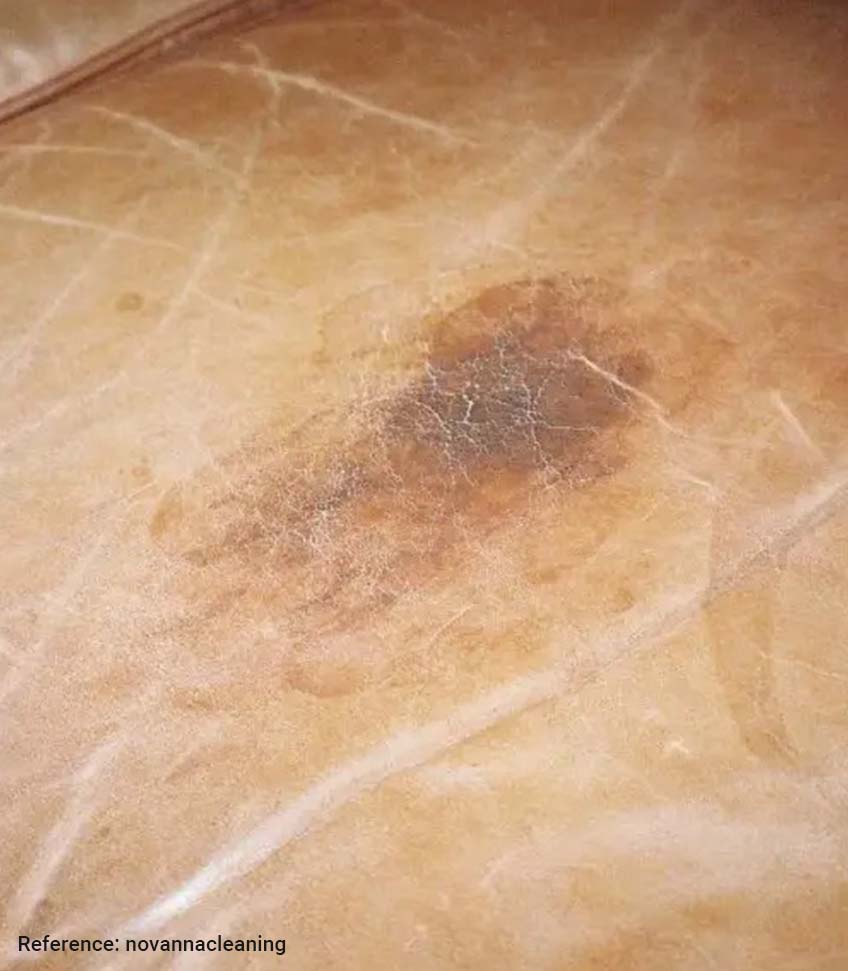 Leather sofa in Singapore Dealing with Grease Stains