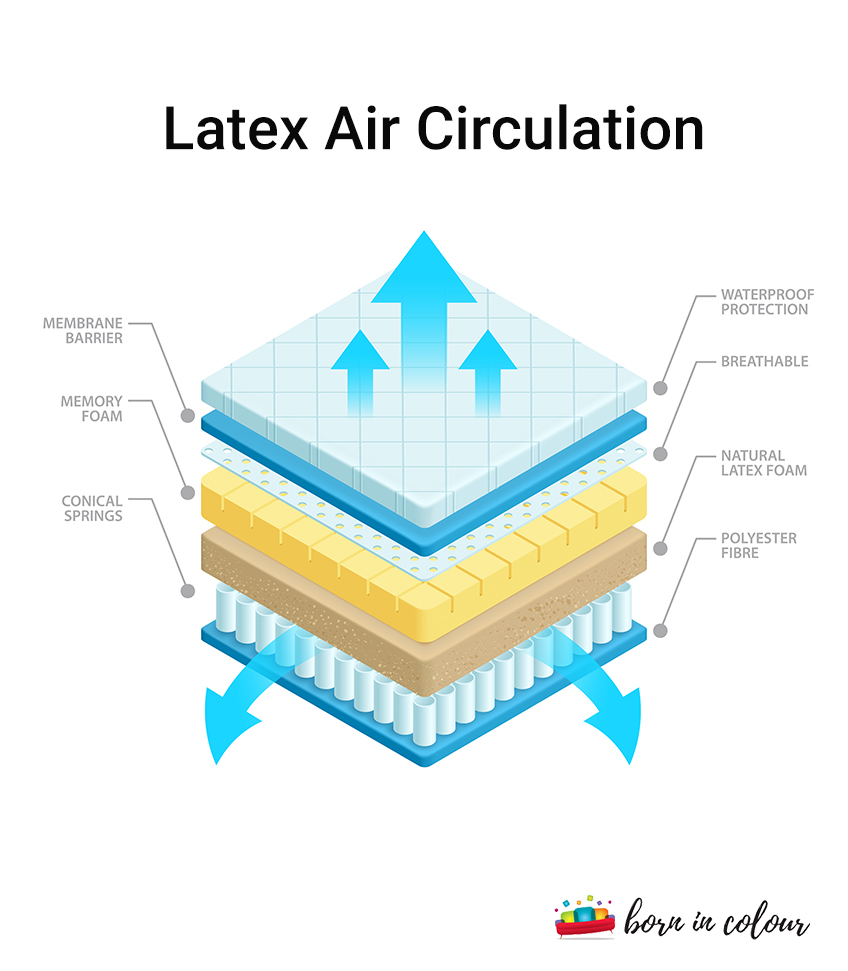 Latex Air Circulation